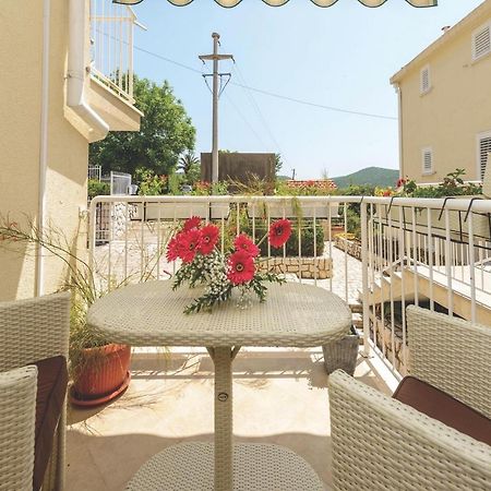 Apartment Viva La Vita Cavtat Zewnętrze zdjęcie